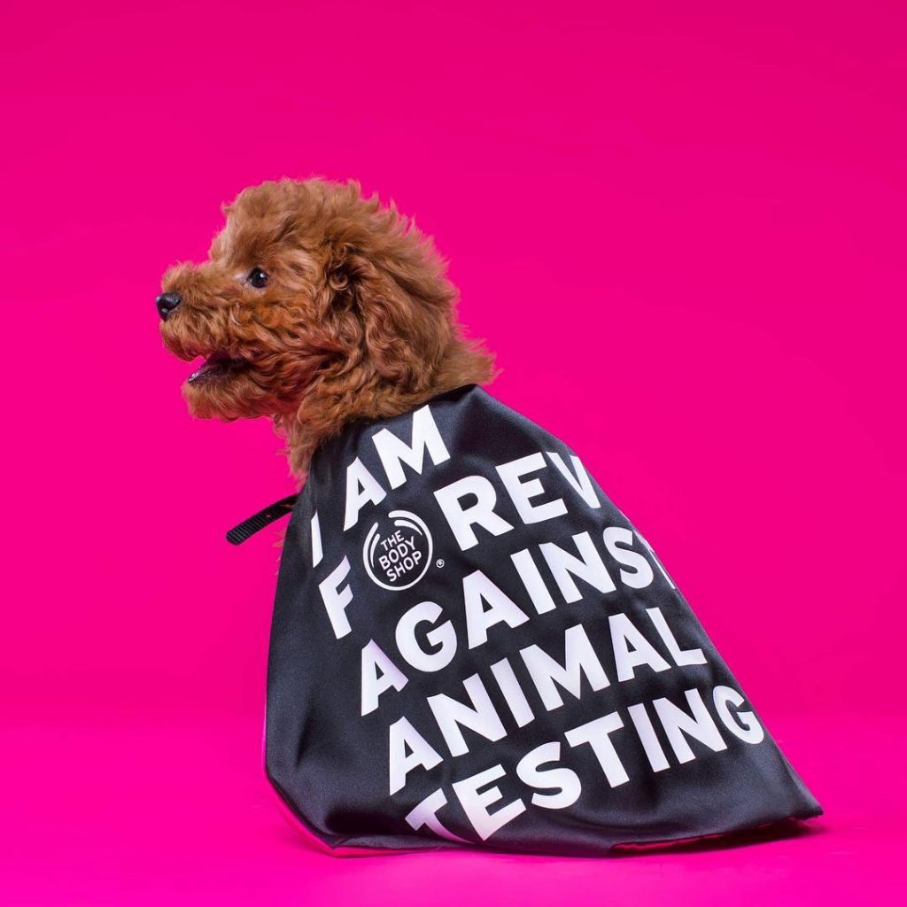Forever Against Animal Testing: 8 Million Signatures And 1 Mission
